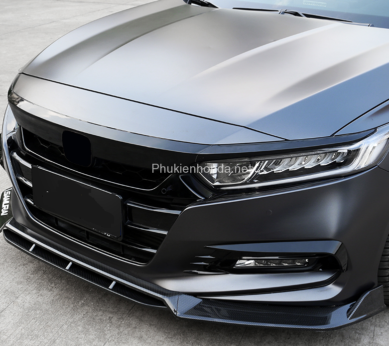 body_accord_3
