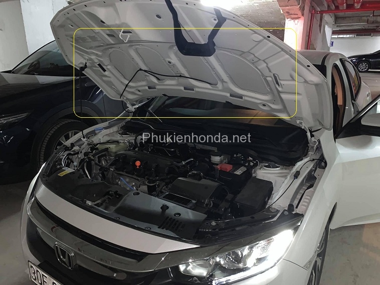 tam_chan_capo_civic_1