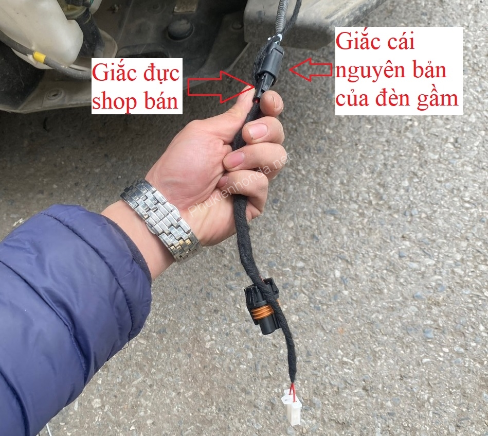 do_den_civic_2023