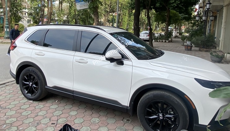 gia_noc_cho_crv_2024_mau_den