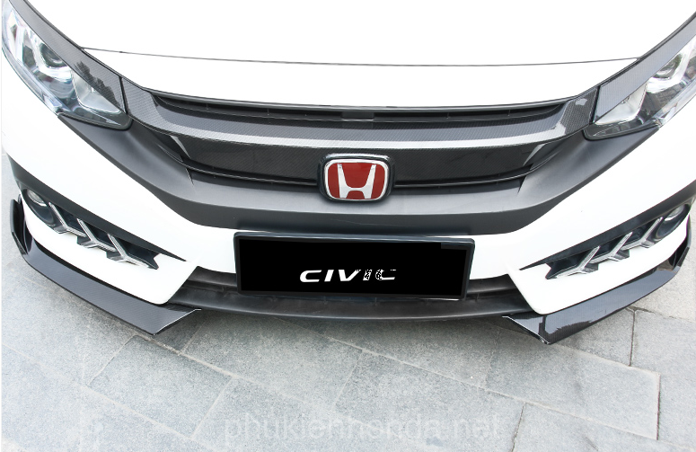 liptruoccivic2017