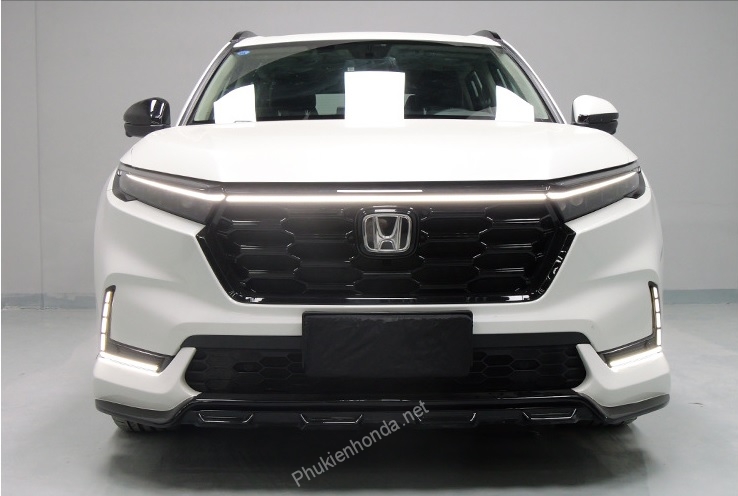 den_can_crv_24