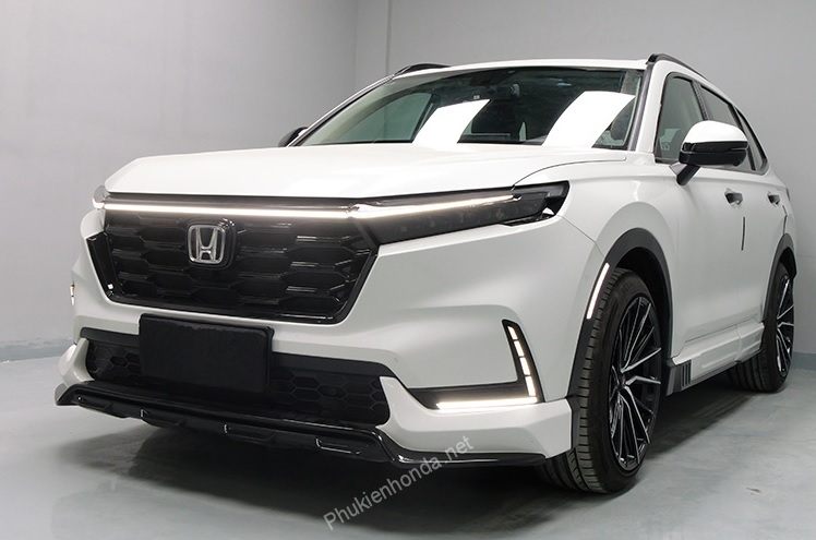 den_mat_ca_lang_crv_2024