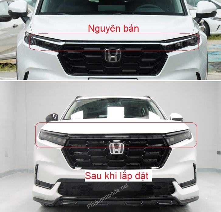 den_mat_ca_lang_crv_2024_rs