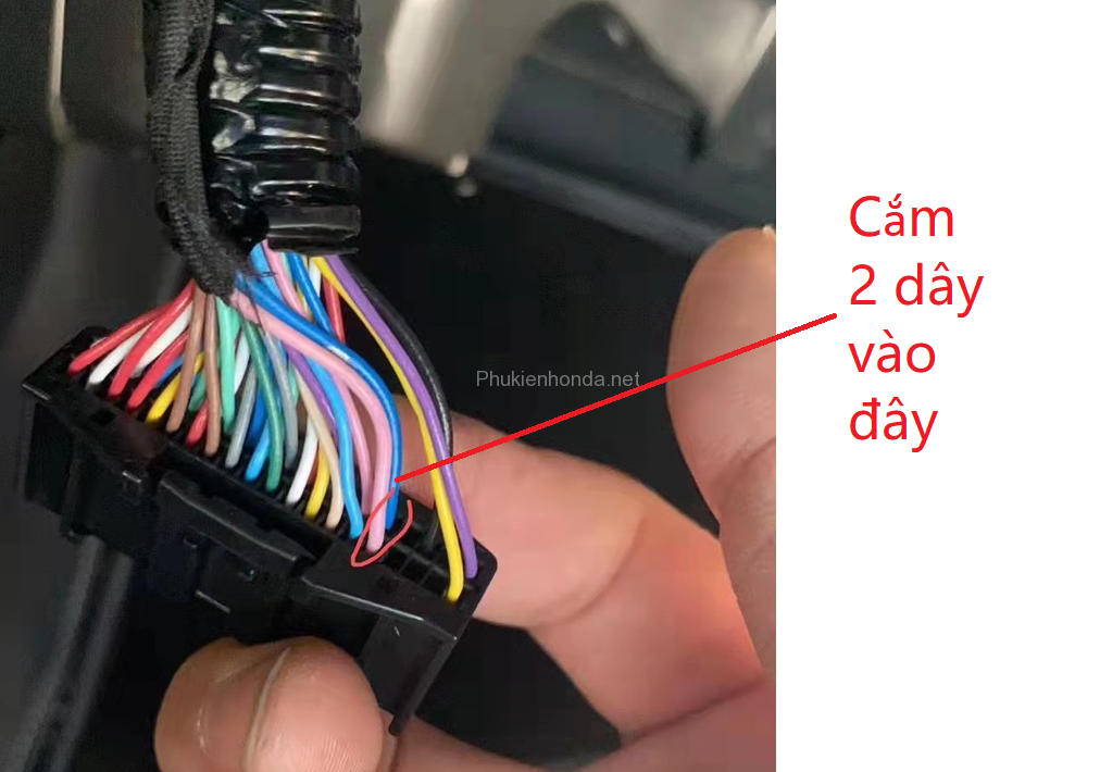 untitlesd
