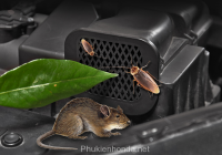 Tấm chắn chống chuột đầu hút gió cho Civic 1.5 turbo 2016-2021