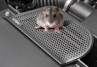 Chống chuột cửa gió khoang động cơ CRV 2024, 2025